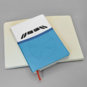 Airbus Cockpit Windows - Journal