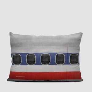 AA Plane - Throw Pillow
